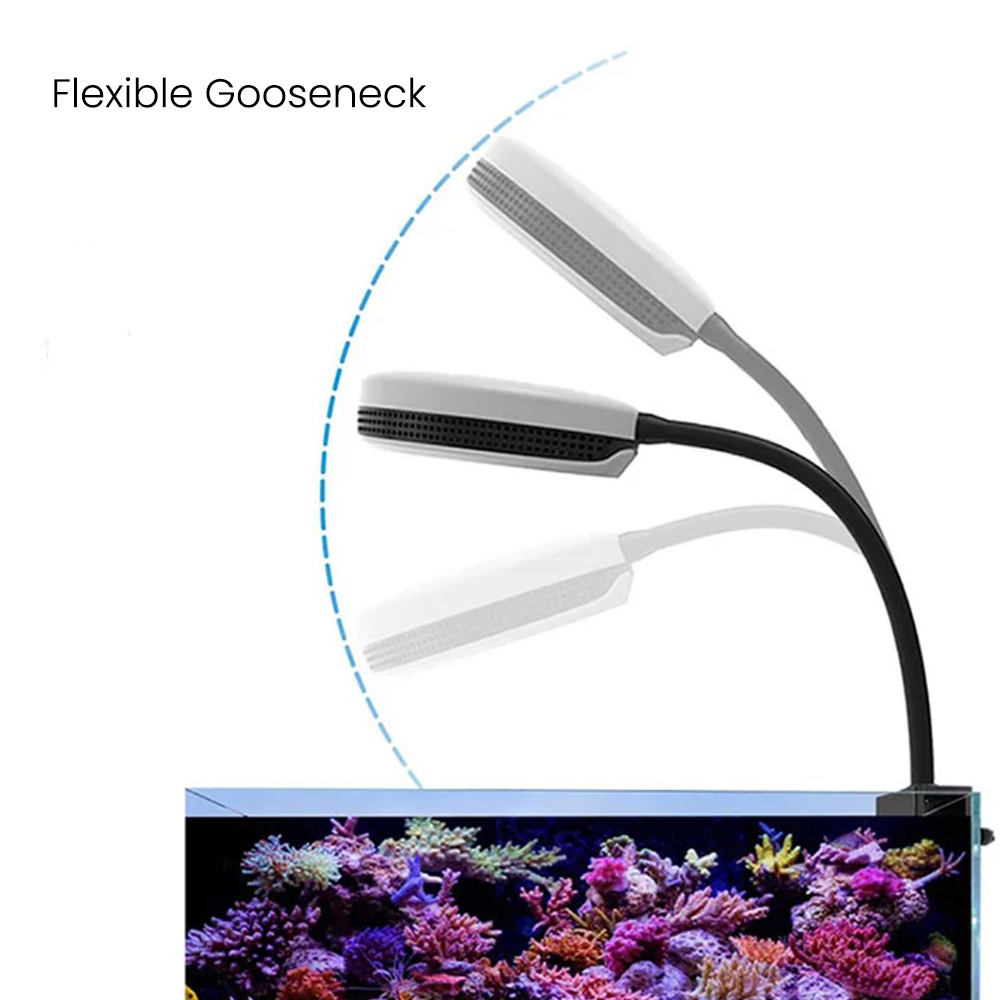 ไฟ LED สำหรับตู้ปลา Spectra SP - Reef Lighting บทวิจารณ์และราคา