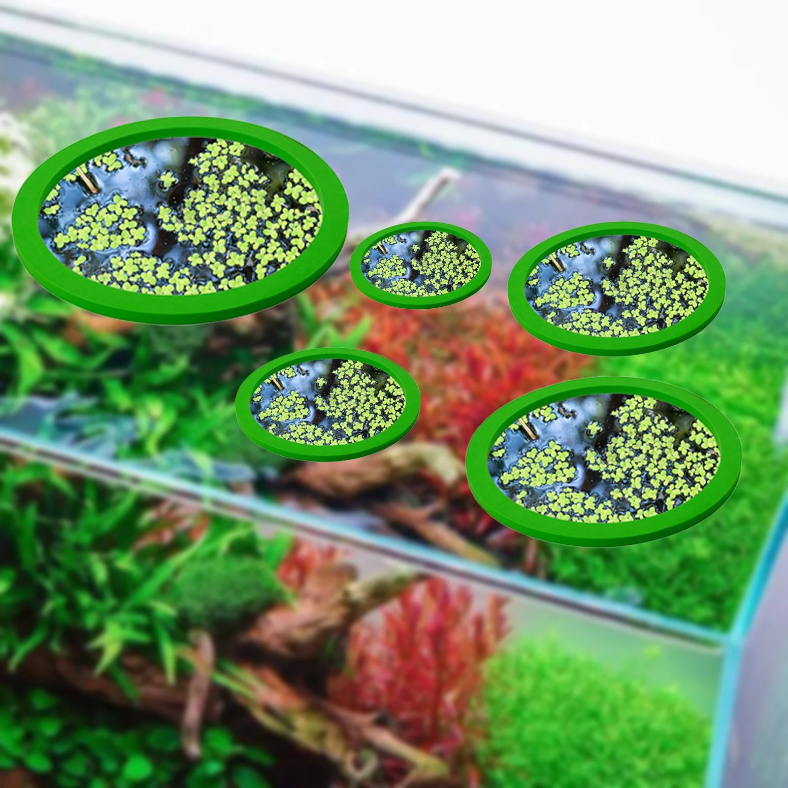 5 ชิ้น EVA ปลา Feeding แหวน Aq - Ocean Aquarium บทวิจารณ์และราคา