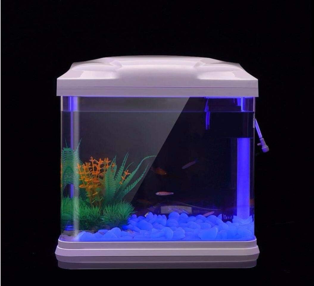 ถังปลา Rocks Glow Blue Pebbles - Ocean Aquarium บทวิจารณ์และราคา