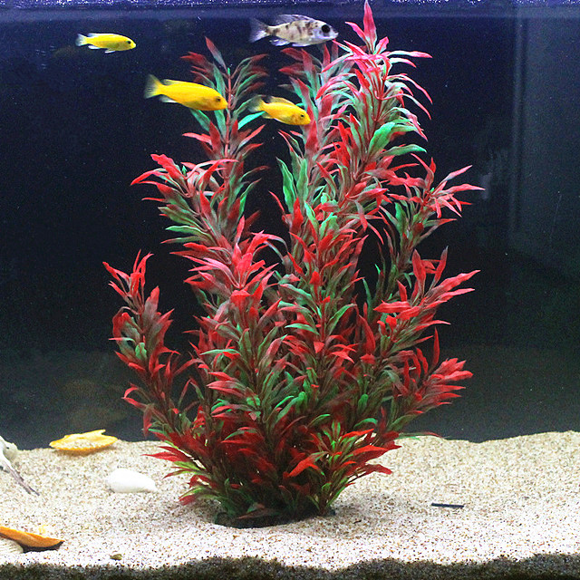 50 ซม.ถังปลาประดิษฐ์พืชหายากAq - Marine Fish Tank บทวิจารณ์และราคา