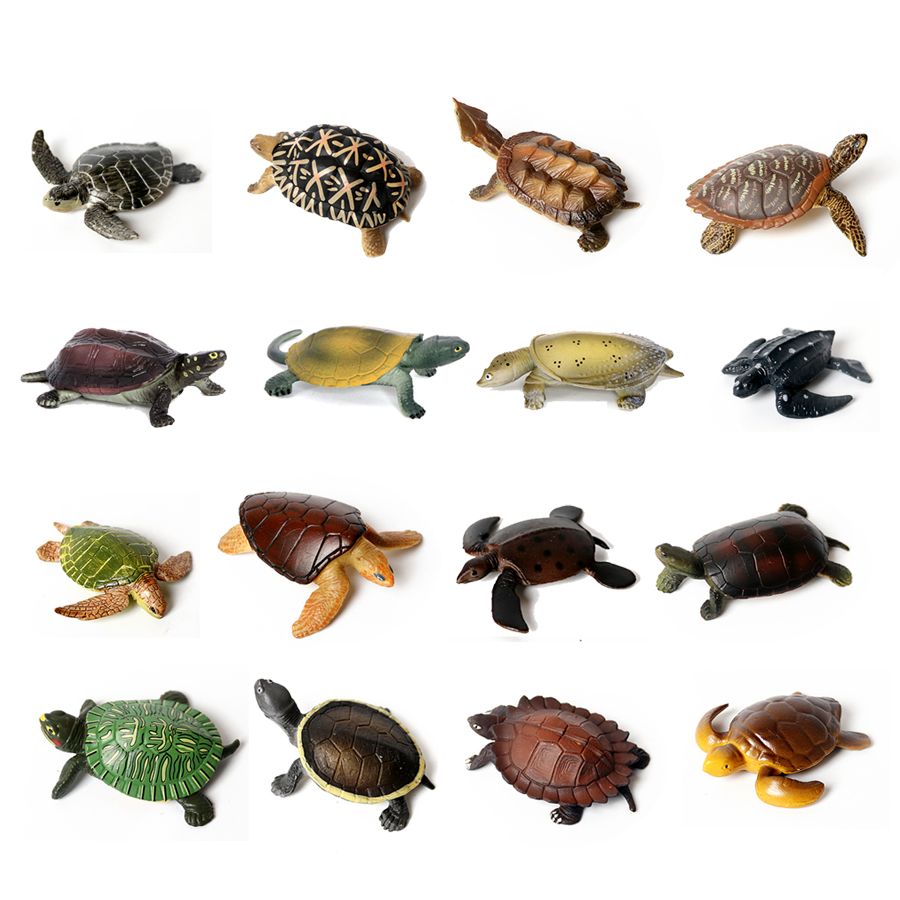 โมเดลเต่าทะเลขนาดเล็กเหมือนจริ - Marine Fish Tank บทวิจารณ์และราคา